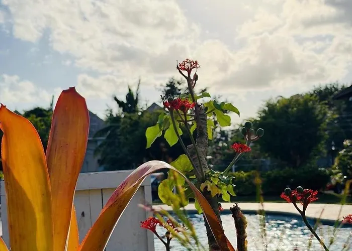 Lagoon Escape Your Tropical Getaway Appartement Montego Bay