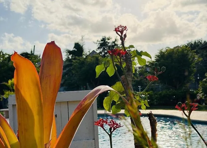 Lagoon Escape Your Tropical Getaway